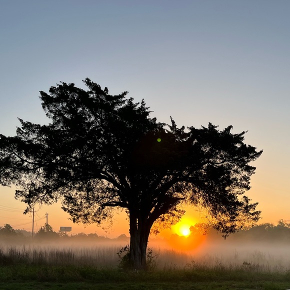 Meet your Posher, Sally - Picture 5 of 9